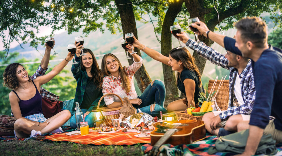 Rote Sommerweine sind perfekt für ein Picknick mit Freunden